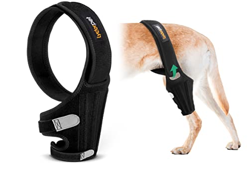 Lyderpet Hunde-Kniebandage für zerrissene Hinterbeine, Kreuzbandagen für Hunde, verstellbar, einfach zu bedienende Hosenträger für das Rückenbein Lyderpet Hunde-Kniebandage für zerrissene Hinterbeine, Kreuzbandagen für Hunde, verstellbar, einfach zu bedienende Hosenträger für das Rückenbein von Lyderpet