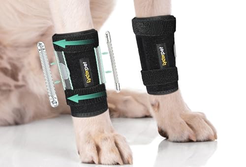 Lyderpet Hundebandage für Vorderbeine, Handgelenkstütze, Karpalbandage, verhindert Verletzungen und Verstauchungen, schützt Karpusgelenkwunden, heilt und hilft bei Verlust der Stabilität durch Lyderpet Hundebandage für Vorderbeine, Handgelenkstütze, Karpalbandage, verhindert Verletzungen und Verstauchungen, schützt Karpusgelenkwunden, heilt und hilft bei Verlust der Stabilität durch von Lyderpet