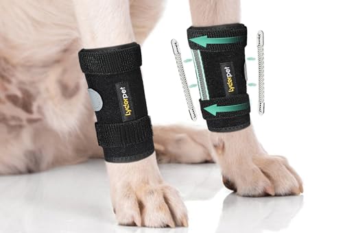 Lyderpet Vorderbeinbandage für Hunde, Knöchelstütze für Forelilmb, Handgelenkschiene für Hunde, schützt Vorderbeinkarpusgelenke, heilt Wunden, hilft bei Verlust der Stabilität durch Arthritis Lyderpet Vorderbeinbandage für Hunde, Knöchelstütze für Forelilmb, Handgelenkschiene für Hunde, schützt Vorderbeinkarpusgelenke, heilt Wunden, hilft bei Verlust der Stabilität durch Arthritis von Lyderpet