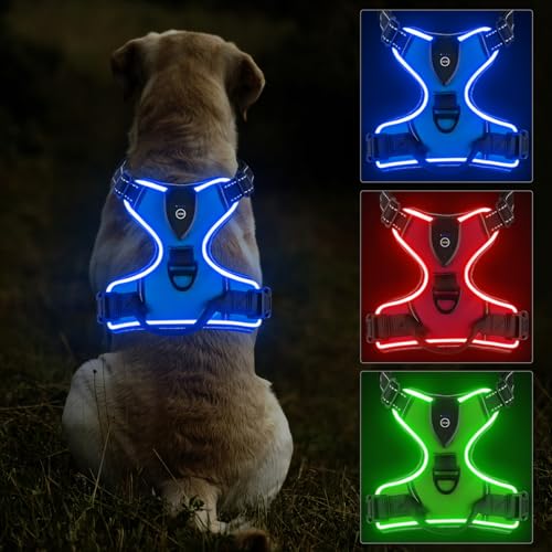 Lyneun Hundegeschirr Leuchtend Aufladbar, Atmungsaktiv Hundegeschirr mit Led Licht, Reflektierend Verstellbare Brustgeschirr mit Weicher Griff, 3 Beleuchtungs Modi Leuchtgeschirr für Hunde (Blau, S) von Lyneun
