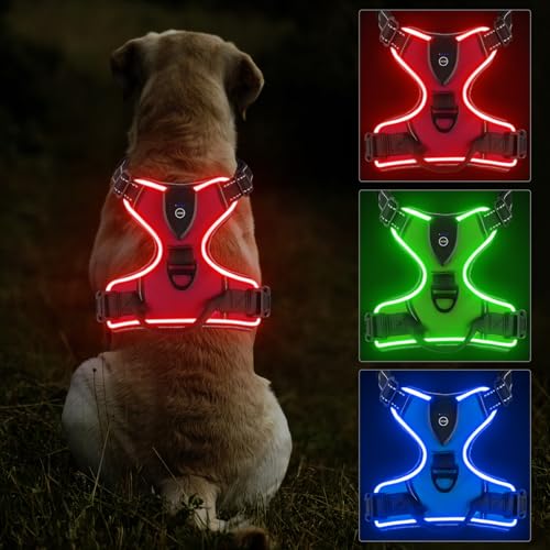 Lyneun Hundegeschirr Leuchtend Aufladbar, Atmungsaktiv Hundegeschirr mit Led Licht, Reflektierend Verstellbare Brustgeschirr mit Weicher Griff, 3 Beleuchtungs Modi Leuchtgeschirr für Hunde (Rot, S) von Lyneun