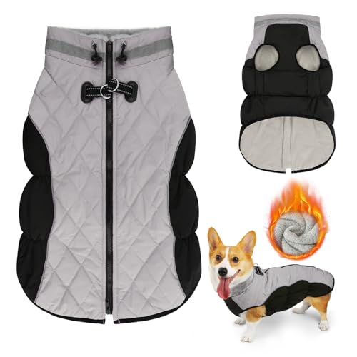 Lyneun Hundejacke Winter Wasserdicht, Warm Weich Winddicht Hundemantel mit Geschirr, Reflektierend Hunde Wintermantel mit Reißverschluss Verstellbarer Schnalle für Kleine Mittelere Hunde (Grau, L) von Lyneun