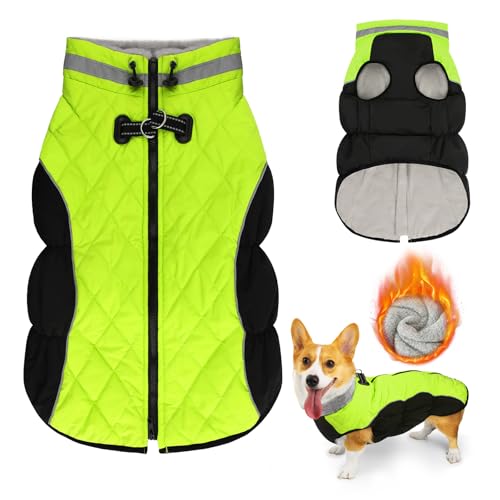 Lyneun Hundejacke Winter Wasserdicht, Warm Weich Winddicht Hundemantel mit Geschirr, Reflektierend Hunde Wintermantel mit Reißverschluss Verstellbarer Schnalle für Kleine Mittelere Hunde (Grün, XL) von Lyneun