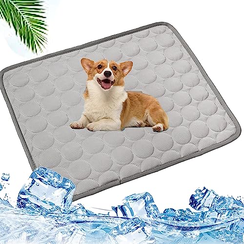 pfotenfrost matte,pfotenchill - die innovative kühlmatte für hunde,kühlmatte katze ohne gel, abkühlung für katzen im sommer, kühlmatte katze ohne gel, emma love kühlmatte, KüHlmatte FüR Hunde,KüHlmatt pfotenfrost matte,pfotenchill - die innovative kühlmatte für hunde,kühlmatte katze ohne gel, abkühlung für katzen im sommer, kühlmatte katze ohne gel, emma love kühlmatte, KüHlmatte FüR Hunde,KüHlmatt von Lyoveu