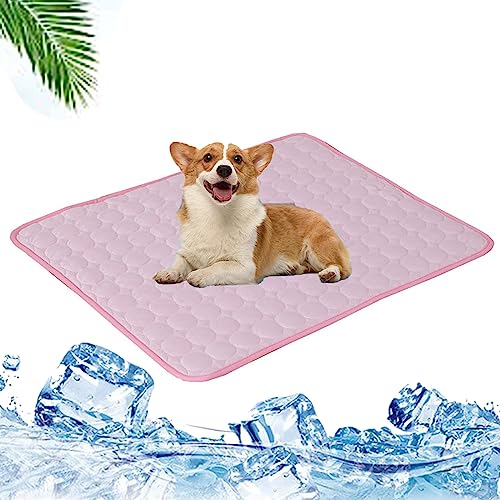pfotenfrost matte,pfotenchill - die innovative kühlmatte für hunde,kühlmatte katze ohne gel, abkühlung für katzen im sommer, kühlmatte katze ohne gel, emma love kühlmatte, KüHlmatte FüR Hunde,KüHlmatt pfotenfrost matte,pfotenchill - die innovative kühlmatte für hunde,kühlmatte katze ohne gel, abkühlung für katzen im sommer, kühlmatte katze ohne gel, emma love kühlmatte, KüHlmatte FüR Hunde,KüHlmatt von Lyoveu