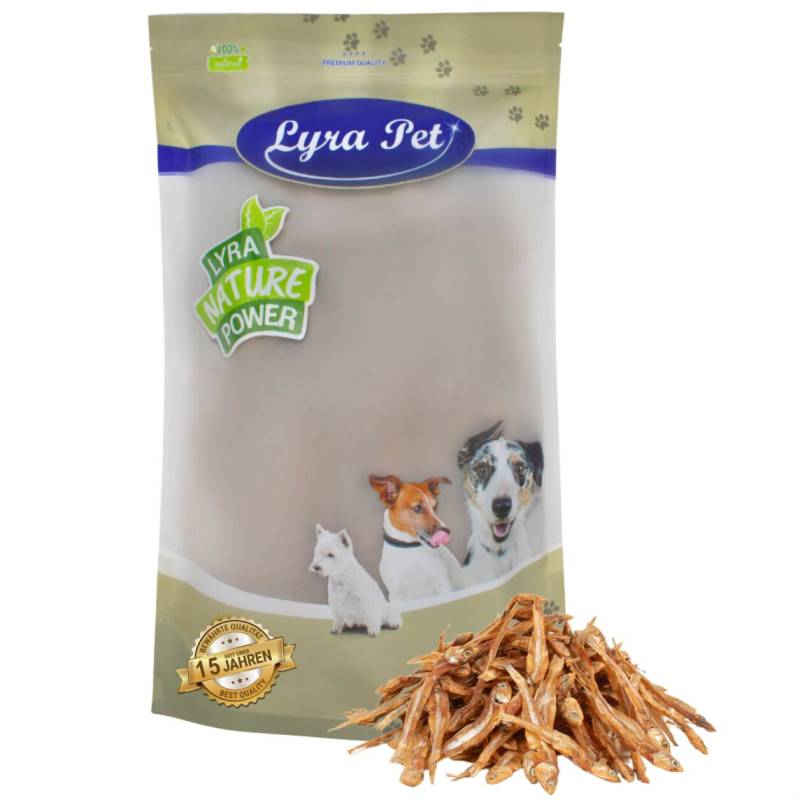 1 kg Lyra Pet® Kleine Fische von Lyra Pet GmbH
