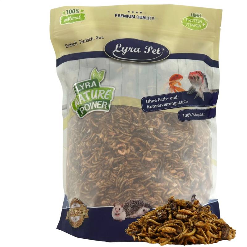 1 kg Lyra Pet® Protein Boost Insekten Mix - mit Mehlwürmern, Shrimps & Grashüpfern von Lyra Pet GmbH