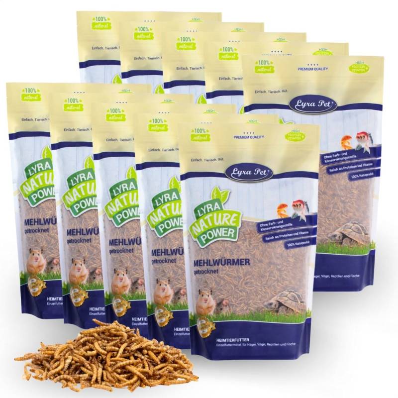 10 x 1 kg Lyra Pet® Mehlwürmer getrocknet von Lyra Pet GmbH