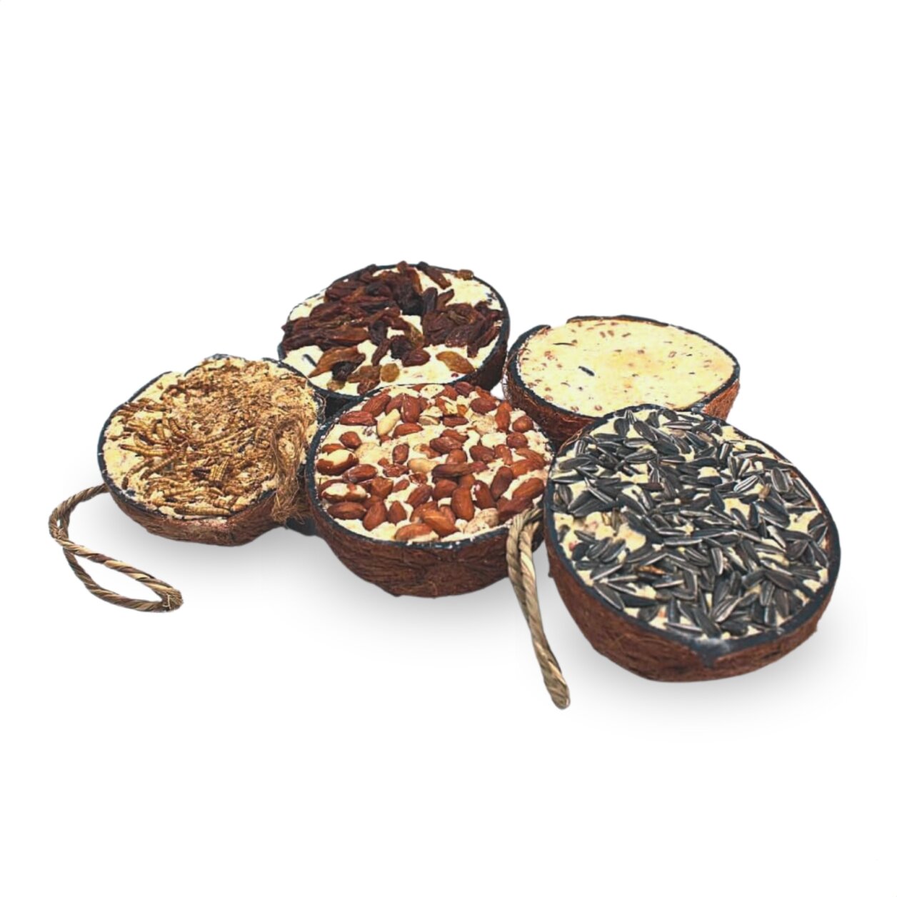3 x 10 Stk. Lyra Pet® Halbe Kokosnuss gefüllt mit Topping von Lyra Pet GmbH