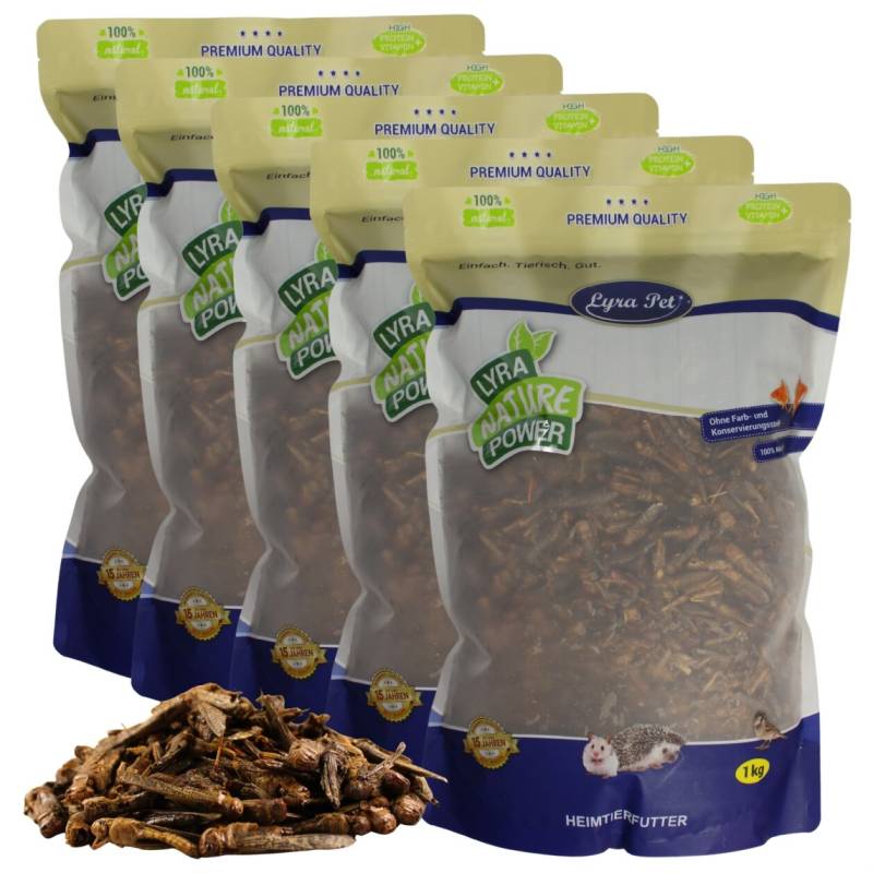 5 kg Lyra Pet® Heuschrecken getrocknet von Lyra Pet GmbH
