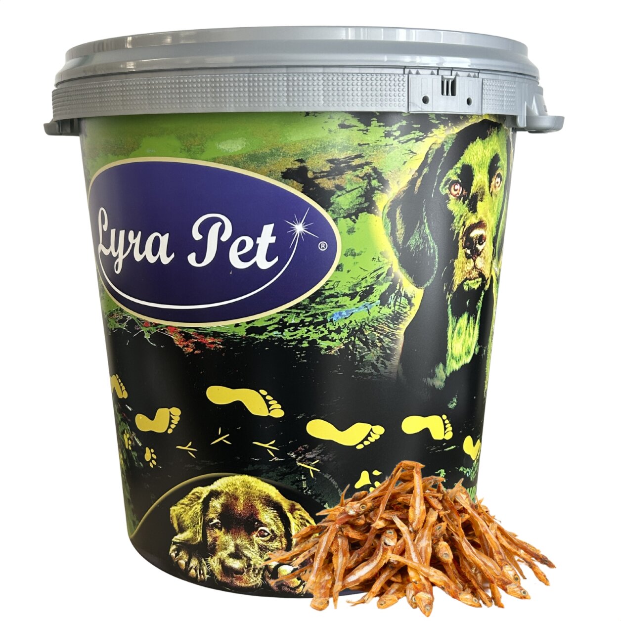 5 kg Lyra Pet® Kleine Fische in 30 L Tonne von Lyra Pet GmbH