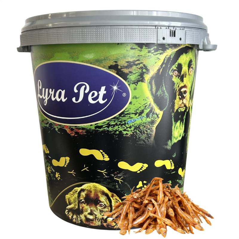 5 kg Lyra Pet® Kleine Fische in 30 L Tonne von Lyra Pet GmbH