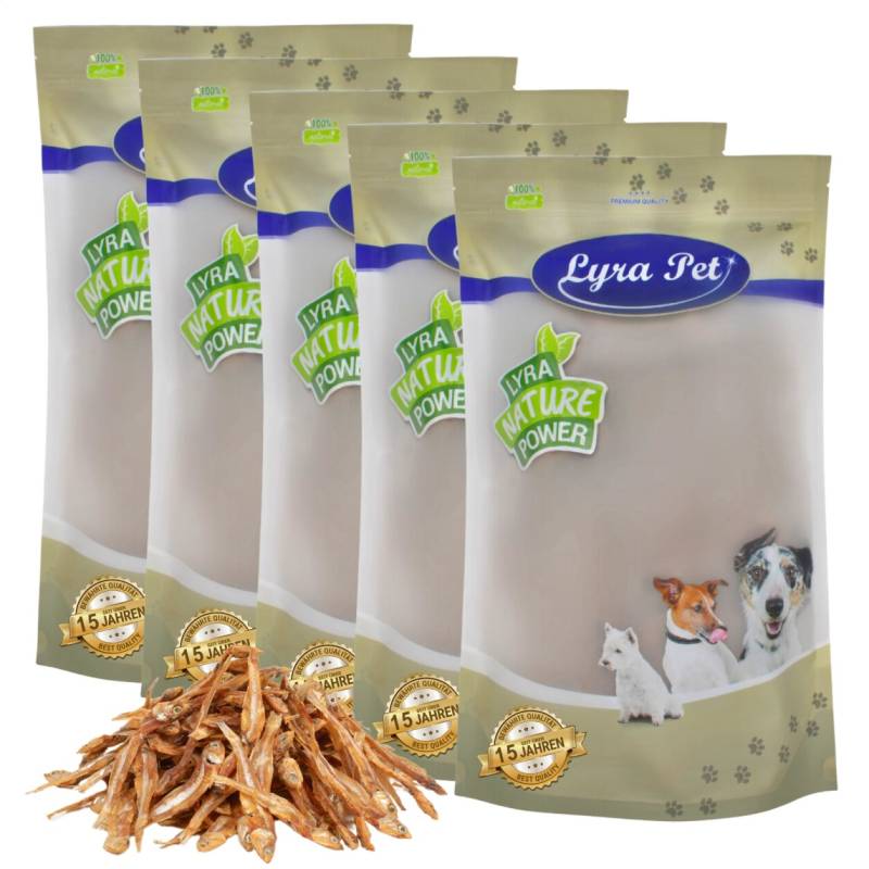 5 kg Lyra Pet® Kleine Fische von Lyra Pet GmbH