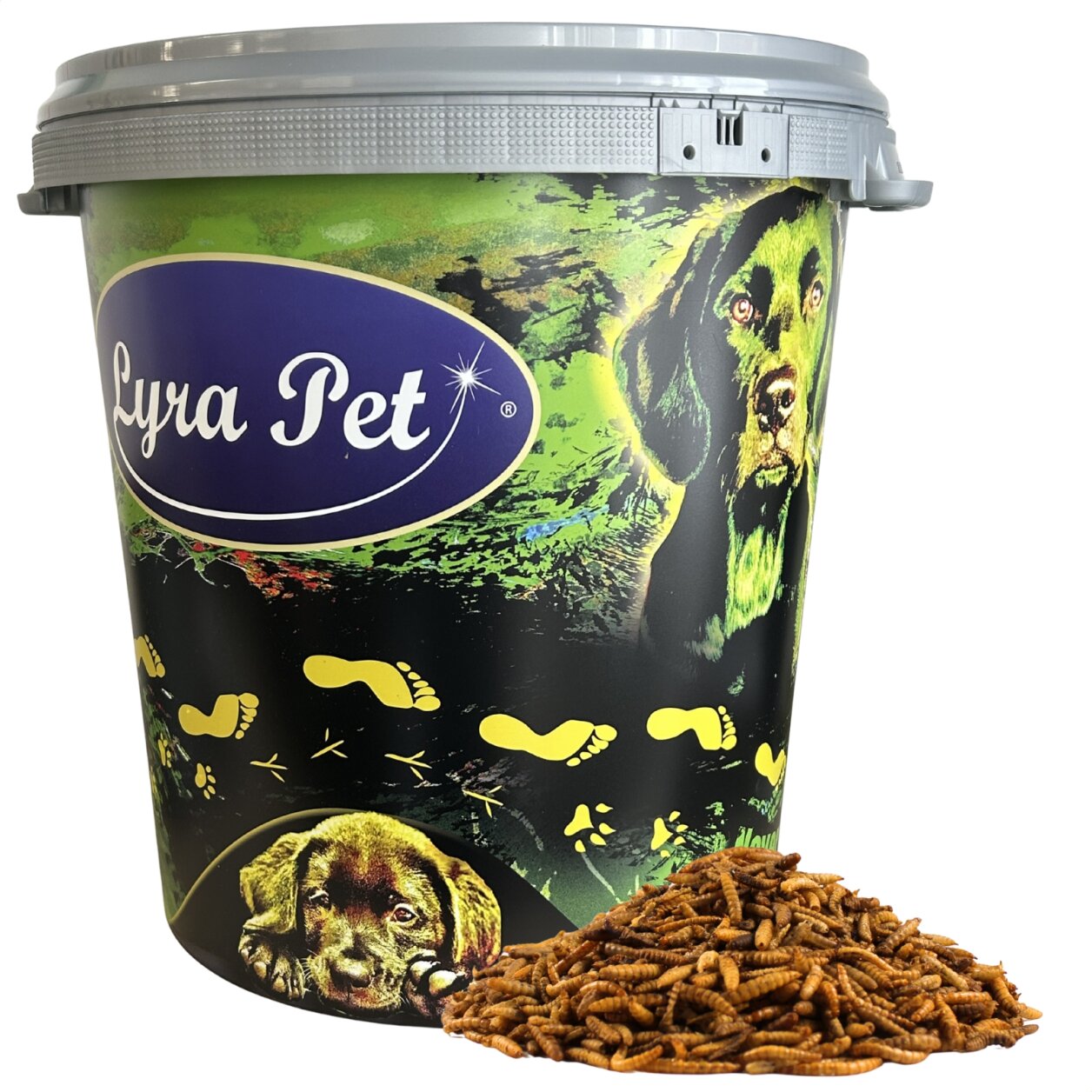 5 kg Lyra Pet® Mehlwürmer-/Soldatenfliegenlarven-Mix in 30 L Tonne von Lyra Pet GmbH