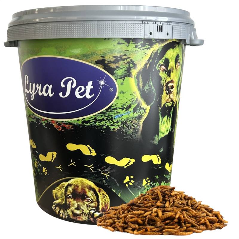 5 kg Lyra Pet® Mehlwürmer-/Soldatenfliegenlarven-Mix in 30 L Tonne von Lyra Pet GmbH