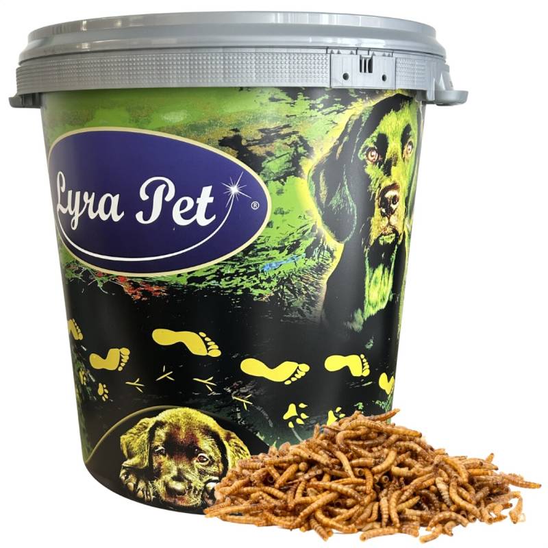 5 kg Lyra Pet® Mehlwürmer getrocknet in 30 L Tonne von Lyra Pet GmbH