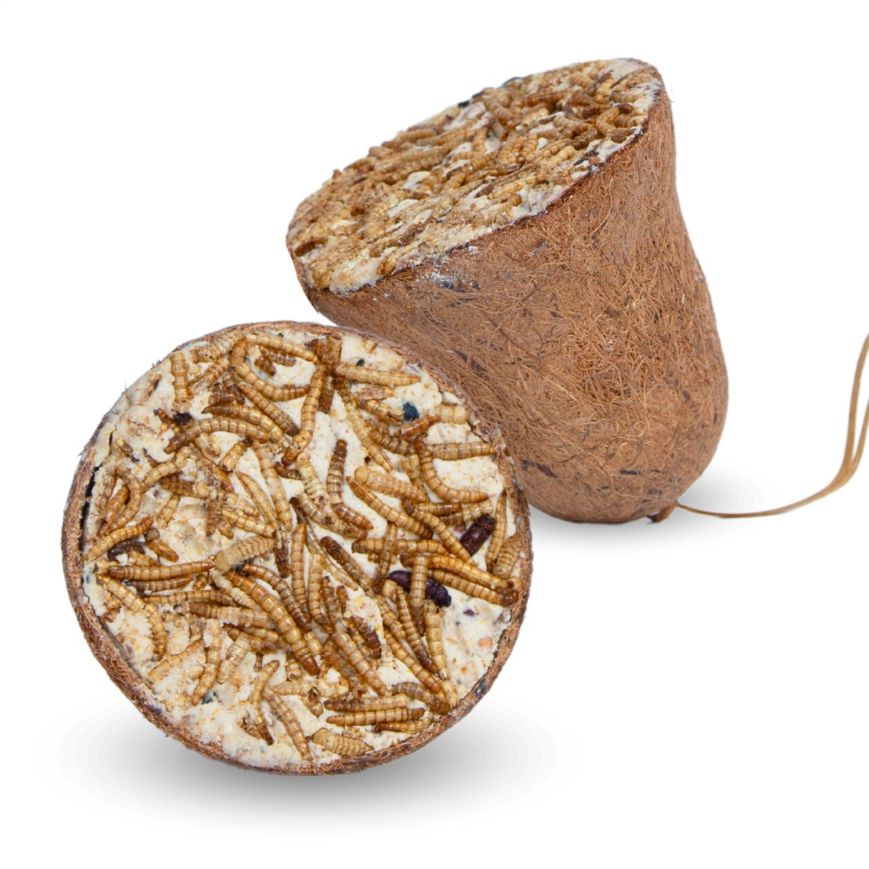 8 Stk. Lyra Pet® Protein Boost Futterglocke mit Mehlwürmern von Lyra Pet GmbH