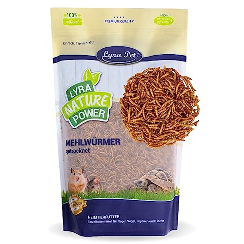 Lyra Pet® | 1 kg Mehlwürmer | Ideal für Nager | Schonend Getrocknet | Proteinreiches Futter für Hamster, Ratten & Rennmäuse | Reich an Vitaminen & Mineralstoffen | Natürlicher Energiespender von Lyra Pet