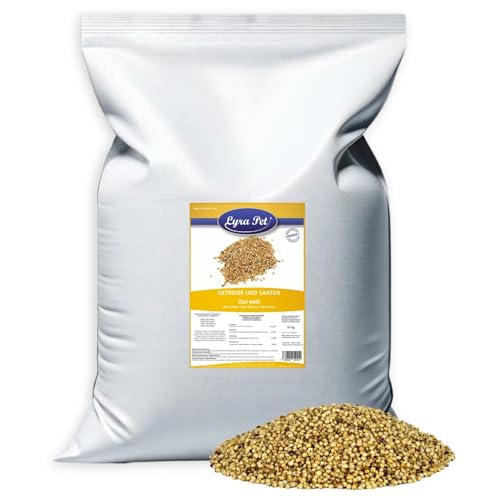 Lyra Pet® 10 kg Dari weiß | Reich an Kohlenhydraten & Ballaststoffen | Ergänzungsfutter für Wildvögel & Kleinnager | Nährstoffreiches, Ganzjähriges Vogelfutter | Sorghum-Hirse Ideal für Streufutter von Lyra Pet