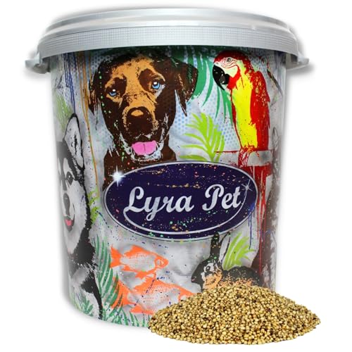 Lyra Pet® 10 kg Dari weiß in 30 L Tonne | Reich an Kohlenhydraten & Ballaststoffen | Ergänzungsfutter für Wildvögel | Nährstoffreiches, Ganzjähriges Vogelfutter | Sorghum-Hirse Ideal für Streufutter von Lyra Pet