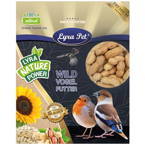 Lyra Pet® | 10 kg Erdnusskerne in Schoten | Wildvogelfutter Ganzjährig | Naturbelassene Erdnüsse in Schale | Reich an Fetten & Ballaststoffen | Energiereiches Futter für Wildvögel & andere Wildtiere von Lyra Pet