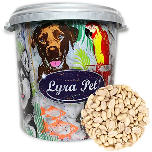 Lyra Pet® | 10 kg Erdnusskerne Splits in 30 L Tonne | HK Argentinien | Geschälte, Halbe Erdnüsse | Gourmetsnack Wildvögel | Vogel Streufutter | Körnerfresser | Proteinreiche Energiequelle für Vögel von Lyra Pet