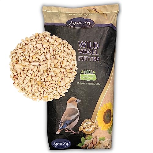 Lyra Pet® | 10 kg Erdnusskerne Weiß Gehackt | Neue Ernte | Ganzjahres Vogelfutter für Körnerfresser | Natürlich & Energiereich | Schalenfreie Erdnüsse | Fettreiches Wildvogelfutter | Für Kleine Vögel von Lyra Pet