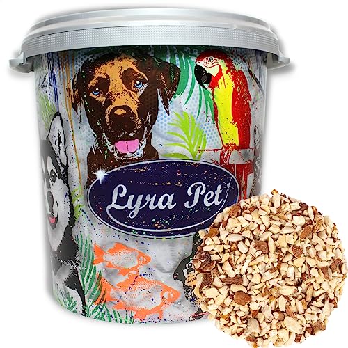 Lyra Pet® | 10 kg Erdnusskerne Gehackt mit Haut + 30 L Tonne | HK Argentinien | Proteinreiche Energiequelle für Wildvögel | Gehackte Erdnüsse für Körnerfresser | Vogelfutter für das Ganze Jahr von Lyra Pet
