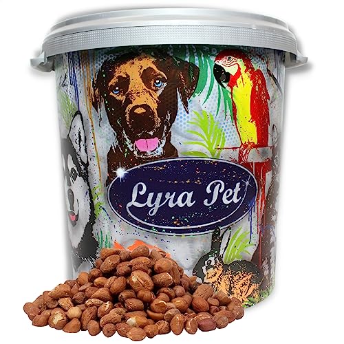 Lyra Pet® | 10 kg Erdnusskerne mit Haut + 30 L Tonne | Neue Ernte | Ganzjahres Vogelfutter für Wildvögel | Sommer & Winter | Natürliche & Energiereiche Erdnüsse | Streufutter für Große Vögel & Tauben von Lyra Pet