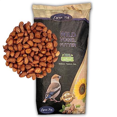 Lyra Pet® | 10 kg Erdnusskerne mit Haut | Neue Ernte | Ganzjahres Vogelfutter für Wildvögel | Ideal für Sommer & Winter | Natürliche & Energiereiche Erdnüsse | Streufutter für Große Vögel & Tauben von Lyra Pet