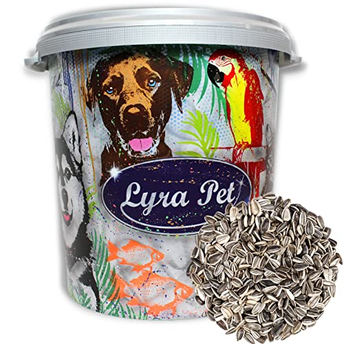 Lyra Pet® | 10 kg Gestreifte Sonnenblumenkerne + 30 L Tonne | HK Bulgarien | Ganzjähriges Wildvogelfutter | Streufutter für Wildvögel | Naturbelassener Gourmetsnack | Energie für Körnerfresser von Lyra Pet