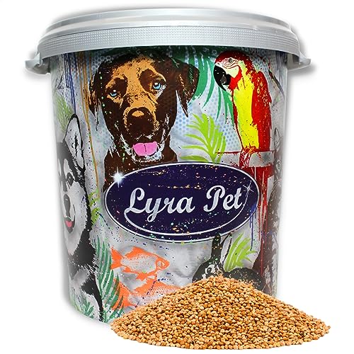 Lyra Pet® | 10 kg Hirse rot lose + 30 L Tonne | Vogelfutter für Ziervögel & Wildvögel | Ideal für Futtermischungen | Ganzjähriges Wildvogelfutter | Mineralstoffreicher Energielieferant | von Lyra Pet