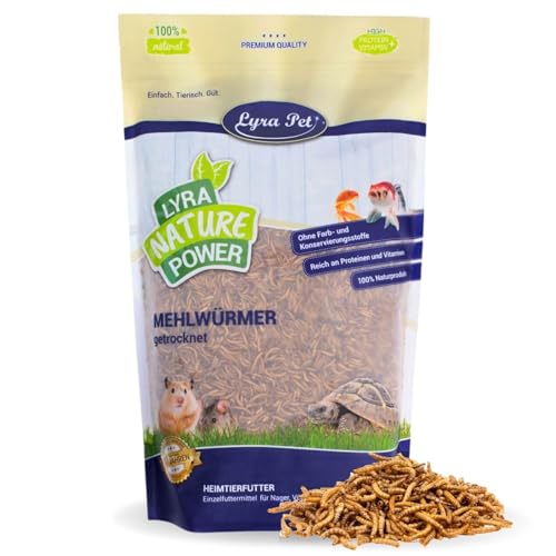 Lyra Pet® | 10 kg Mehlwürmer getrocknet | Proteinreiches Vogelfutter | Für Wildvögel, Nager, Reptilien & Fische | Nahrhaftes Futter | Energiespender für Insektenfresser | Vitamine & Mineralstoffe von Lyra Pet