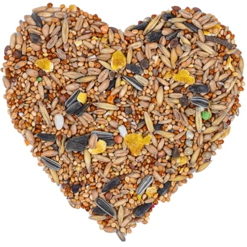 Lyra Pet® | 10 kg Nymphensittichfutter Großsittichfutter | Alleinfutter für Großsittiche | Vogelfutter für Sittiche | Nahrhaftes Futter | Energiespender für Nymphensittiche | Artgerecht & Natürlich von Lyra Pet