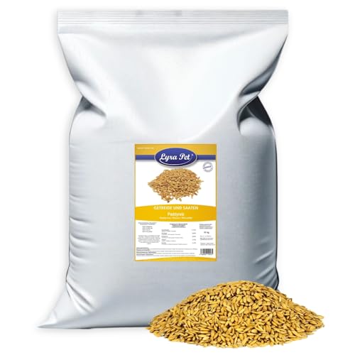 Lyra Pet® 10 kg Paddyreis | Reich an Ballaststoffen, Vitaminen & Mineralien | Ergänzungsfutter für Wildvögel & Kleinnager | Ungeschälter Reis | Nährstoffreiches Vogelfutter für Sommer & Winter von Lyra Pet