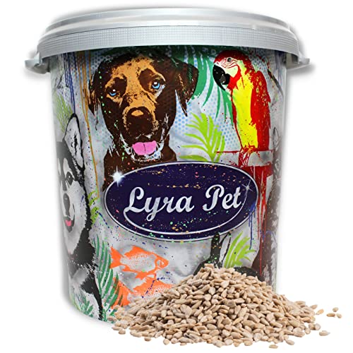 Lyra Pet® | 10 kg Sonnenblumenkerne Geschält + 30 L Tonne | Wildvogelfutter Ganzjährig | Für Jungtiere | Vogelfutter Wildvögel | Wertvolles Streufutter | Energiespender ohne Schale | Sommer Winter von Lyra Pet