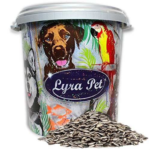 Lyra Pet® | 10 kg Sonnenblumenkerne Gestreift + 30 L Tonne | Wildvogelfutter für Sommer & Winter | Ideal für Freilebende Vögel | Vogelfutter Ganzes Jahr | Ölreiches Streufutter | Kräftige Schnäbel von Lyra Pet