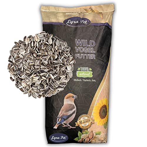 Lyra Pet® | 10 kg Sonnenblumenkerne Gestreift | Neue Ernte | Ganzjahres Vogelfutter für Wildvögel l Kräftige Schnäbel durch Harte Schalen | Optimale Energie & Nährstoffe | Ideal für Vogelhäuser von Lyra Pet