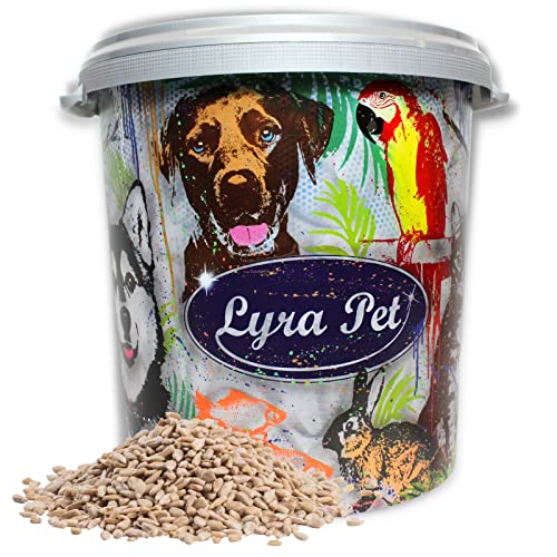 Lyra Pet® | 10 kg Sonnenblumenkerne Geschält + 30 L Tonne | Neue Ernte | Ganzjahres Vogelfutter für Wildvögel l Für Kleine Vögel & Jungtiere | Schalenfreier Energielieferant | Balkon & Terrasse von Lyra Pet