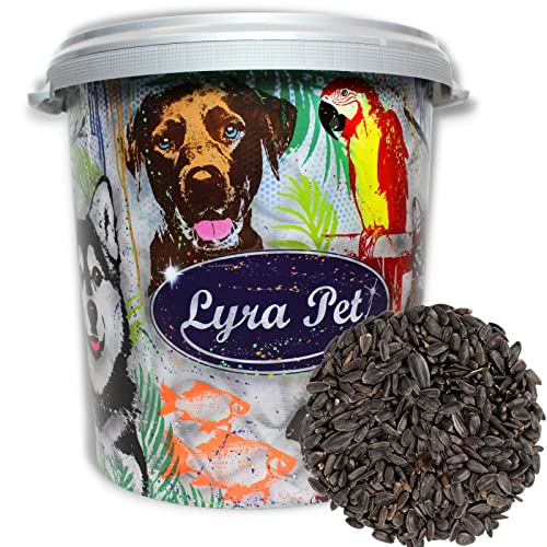Lyra Pet® | 10 kg Schwarze Sonnenblumenkerne + 30 L Tonne | HK Bulgarien | Ganzjähriges Wildvogelfutter | Hochwertiges Streufutter für Wildvögel | Fettreicher Gourmetsnack | Energie für Körnerfresser von Lyra Pet
