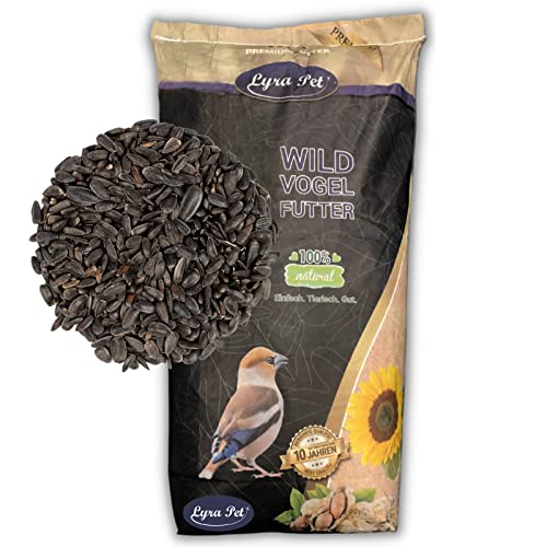 Lyra Pet® | 10 kg Sonnenblumenkerne Schwarz | Neue Ernte | Ganzjahres Vogelfutter für Wildvögel l Für Kleine Vögel & Jungtiere durch Dünnere Schale | Optimale Energie durch Hohen Ölanteil von Lyra Pet