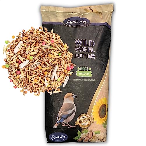 Lyra Pet® | 10 kg Streufutter | Neue Ernte | Ideal für Sommer & Winter | Ganzjähriges Vogelfutter für Körnerfresser | Artgerechte Fütterung der Heimischen Wildvögel | Naturbelassen & Energiereich von Lyra Pet