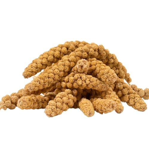 Lyra Pet® | 2 kg Kolbenhirse gelb | Ganzjähriges Vogelfutter für Ziervögel & Wildvögel | Handverlesene gelbe Hirse | Nährstoffreiche, naturbelassene Hirsekolben | Für Wellensittiche & Kanarienvögel von Lyra Pet