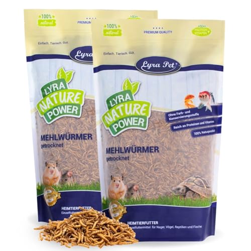 Lyra Pet® | 2 kg Mehlwürmer getrocknet | Proteinreiches Vogelfutter | Für Wildvögel, Nager, Reptilien & Fische | Nahrhaftes Futter | Energiespender für Insektenfresser | Vitamine & Mineralstoffe von Lyra Pet