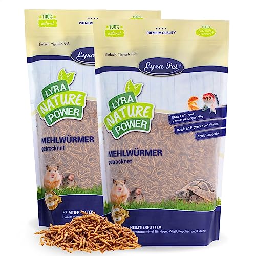 Lyra Pet® | 2 x 1 kg Mehlwürmer getrocknet | Proteinreiches Vogelfutter | Für Wildvögel, Nager, Reptilien & Fische | Nahrhaftes Futter | Energiespender für Insektenfresser | Vitamine & Mineralstoffe von Lyra Pet