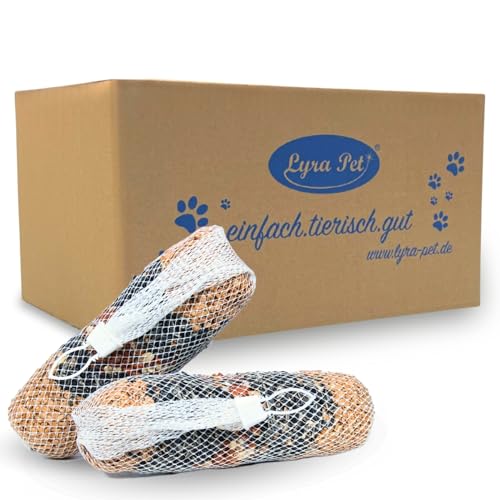 Lyra Pet® | 2 x 4 STK. Riesen-Futterstange je 600 g | Vogelfutter zum Aufhängen | Energiequelle für Wildvögel im Sommer & Winter | Ideal für Balkon & Terrasse | Nährstoffreich & Dekorative Mischung von Lyra Pet