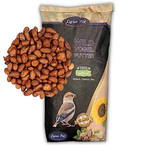 Lyra Pet® 20 kg Erdnusskerne mit Haut HK Asien Ganzjahresfutter Körner Erdnüsse Vogelfutter Wildvogelfutter von Lyra Pet