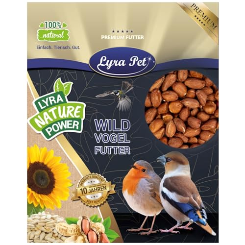 Lyra Pet® | 25 kg Erdnusskerne mit Haut | Wildvogelfutter Ganzjährig | Ballasttoffreiches Vogelfutter | Erdnüsse für Wildvögel | Energie durch Hohen Fettanteil | Ideal für Tauben & Größere Vögel von Lyra Pet