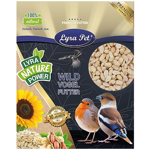 Lyra Pet® | 25 kg Erdnusskerne Halbe Blanchiert | Nährstoffreiches Streufutter | Wildvogelfutter Ganzjährig | Erdnüsse ohne Schale | Energiespender für Alle Wildvögel | Sommer und Winter von Lyra Pet