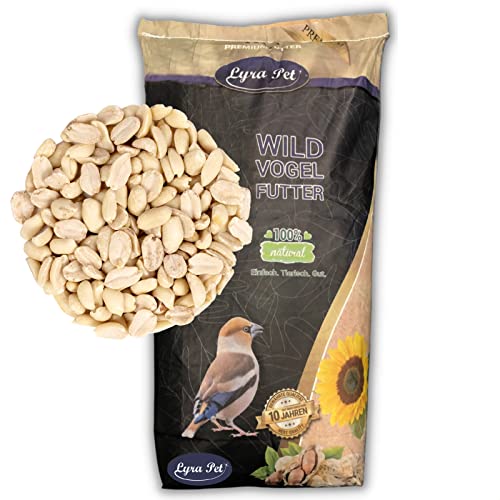 Lyra Pet® | 25 kg Erdnusskerne Splits | Neue Ernte | Ganzjahres Vogelfutter für Wildvögel | Reich an Proteinen & Nährstoffen | Schalenfreie, Geteilte Erdnüsse | Auch Ideal für Balkon & Terrasse von Lyra Pet